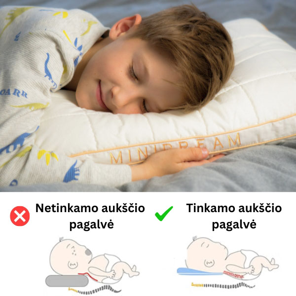 MINIDREAM